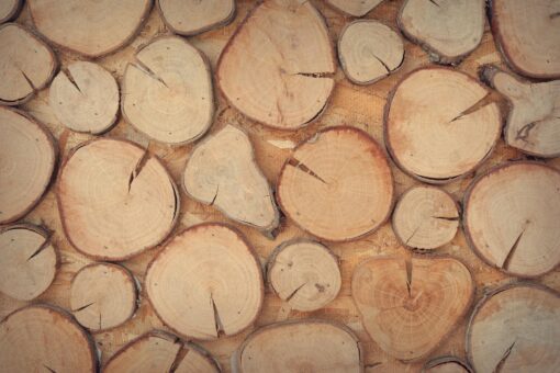 Rewolucja w Aranżacji Wnętrz: Modułowe Meble z Recyklingu, które Samodzielnie Złożysz