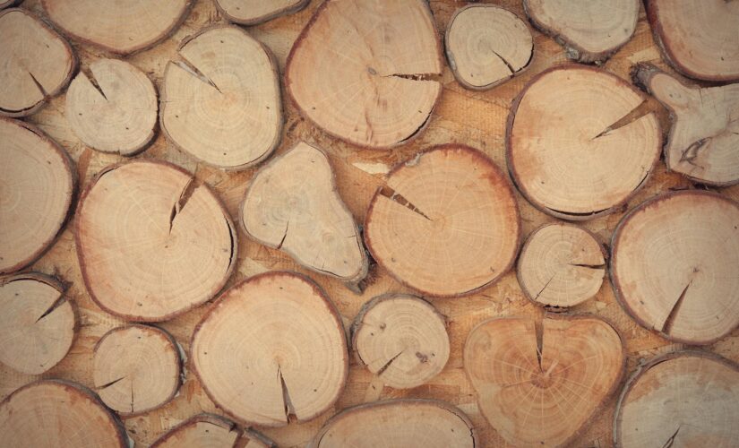 Rewolucja w Aranżacji Wnętrz: Modułowe Meble z Recyklingu, które Samodzielnie Złożysz