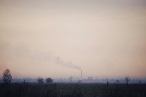 Oczyszczanie powietrza w domu: Alternatywne metody i zaskakujące korzyści