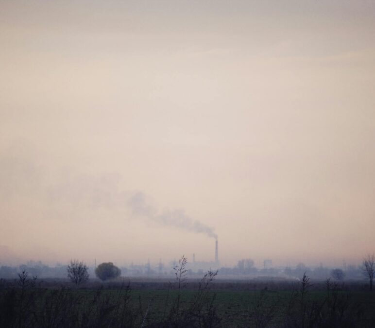 Oczyszczanie powietrza w domu: Alternatywne metody i zaskakujące korzyści