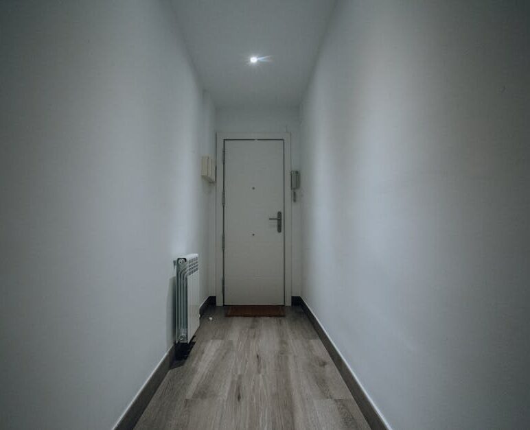 Drzwi ukryte w ścianie w mieszkaniu: ościeżnica niewidoczna, montaż krok po kroku i koszty w Polsce